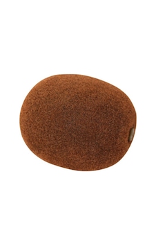 Euro Flora Dekoratif Yapay Kivi 6X7 Cm (541029580)