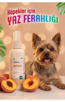Reflex Care Şeftali Kokulu Köpek Kolonyası 125 Ml Reflex Care Şeftali Kokulu Köpek Kolonyası 125 Ml