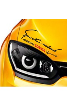 Hyundai Sonata Sports Mind Far Üstü Oto Sticker (282386649)