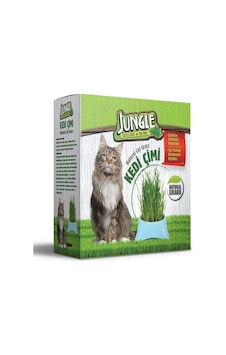 Jungle Kedi Çimi