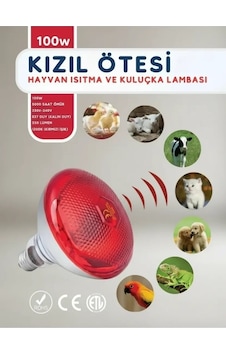 Buğz 100w Kızılötesi İnfrared Isıtıcılı Hayvan Isıtma Ve Kuluçka Lambası Kırmızı Işık E27 Kalın Duy Buğz 100w Kızılötesi İnfrared Isıtıcılı Hayvan Isıtma Ve Kuluçka Lambası Kırmızı Işık E27 Kalın Duy