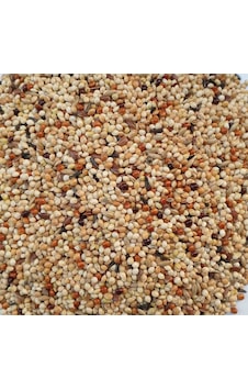 Özel Karışık Muhabbet Kuşu Yemi 10 KG Özel Karışık Muhabbet Kuşu Yemi 10 KG