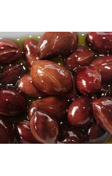 Tüplü Özel İri Meyveli Kalamata Zeytin Fidanı Tüplü Özel İri Meyveli Kalamata Zeytin Fidanı