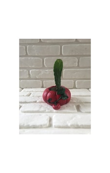 Dekoratif Balkabağı Beton Saksı 15 7 Cm Kırmızı Dekoratif Balkabağı Beton Saksı 15 7 Cm Kırmızı