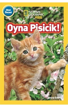 Beta Kids Oyna Pisicik