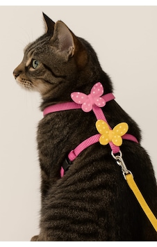 Mıt Kedi Bel Tasması Kelebekli Pembe Mıt Kedi Bel Tasması Kelebekli Pembe