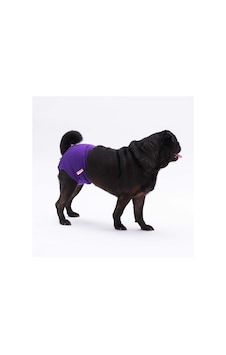 Mor Kedi-köpek Çamaşırı Regl Kilodu Kedi Köpek Kıyafeti Mor Kedi-köpek Çamaşırı Regl Kilodu Kedi Köpek Kıyafeti