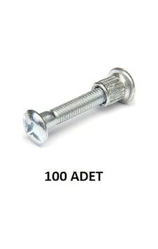6x60 Mm Montebent Vidası 100 Adet