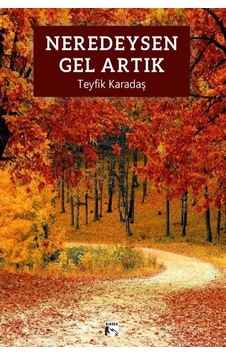 Neredeysen Gel Artık / Teyfik Karadaş Neredeysen Gel Artık / Teyfik Karadaş