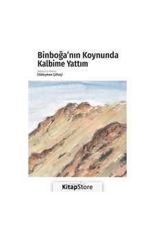 Binboğa'nın Koynunda Kalbime Yattım - Süleyman Çiltaş - Demos Yayınları
