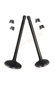 Cg-250 Subap Tk+tırnaklı Dq Arr52713 Cg-250 Subap Tk+tırnaklı Dq Arr52713