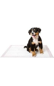 Mydog Eko Çiş Pedi 60 x 90 CM 30'lu