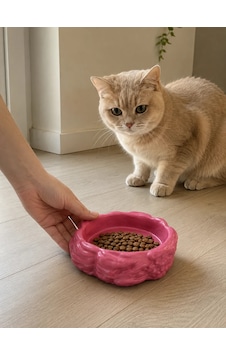 Eko Form Model Beton Kedi Köpek Mama Ve Su Kabı 16cm 16cm 5.5cm - Pembe Eko Form Model Beton Kedi Köpek Mama Ve Su Kabı 16cm 16cm 5.5cm - Pembe