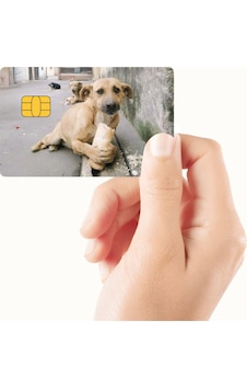 Ekmek Yiyen Köpek Tasarımlı Kredi Kartı Ve Akbil Kaplama Sticker Standart Ekmek Yiyen Köpek Tasarımlı Kredi Kartı Ve Akbil Kaplama Sticker Standart