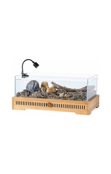 Jeneca Xl-50 Set Akvaryum 45x28x25 11 Lt Dekor Dahil Jeneca Xl-50 Set Akvaryum 45x28x25 11 Lt Dekor Dahil