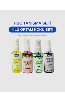 4'lü Ortam Kokusu Seti - 50cc Sprey Ferahlatıcı Taşınabilir Ortam Kokusu Seti Fresh 4'lü Ortam Kokusu Seti - 50cc Sprey Ferahlatıcı Taşınabilir Ortam Kokusu Seti Fresh