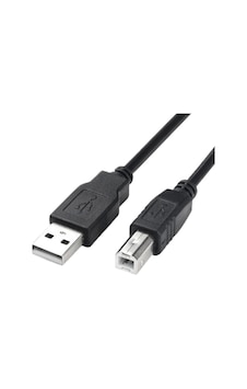 4951 Usb Yazıcı Printer Ara Bağlantı Kablosu 1.5 Metre 4951 Usb Yazıcı Printer Ara Bağlantı Kablosu 1.5 Metre