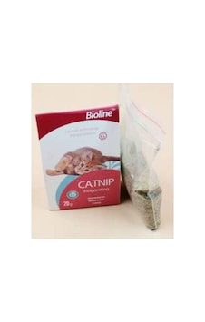 Northcity Catnip Kedi Otu 20 Gr Northcity Catnip Kedi Otu 20 Gr