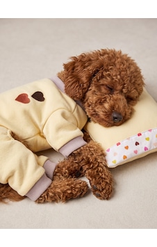 Winter Hearts Köpek Uyku Takımı Pamuklu Penye Köpek Tulumu Ve Mini Yastık Küçük Irklar İçin Tüy Dökülmesini Azaltır