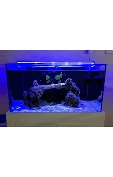 Mavi Renkli Akvaryum Led Aydınlatma, 80cm Uzunlukta Açık Bej Mavi Renkli Akvaryum Led Aydınlatma, 80cm Uzunlukta Açık Bej