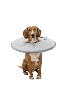 Trixie Köpek Ve Kedi Yakalığı L Gri Trixie Köpek Ve Kedi Yakalığı L Gri