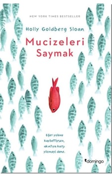 Mucizeleri Saymak Mucizeleri Saymak