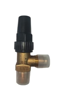 Blue Blr-6110/22 1/4''sae-1/4''npt Depo Vanası