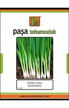 Soğan - Beyaz Bilek - 10 Gr Taze Soğan 8 Soğan - Beyaz Bilek - 10 Gr Taze Soğan 8