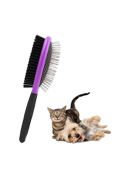 Çok Amaçlı Çift Taraflı Kolay Evcil Hayvan Kedi Köpek Temizleme Pet Fırçası 5492 Çok Amaçlı Çift Taraflı Kolay Evcil Hayvan Kedi Köpek Temizleme Pet Fırçası 5492