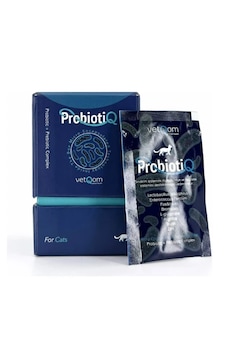 Kedi Probiotiq Bağırsak Düzenleyici Toz 10 Saşe