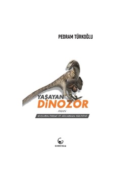 Yaşayan Dinozor - Avian - Kuşların Evrimi ve Atalarının Serüveni - Pedram Türkoğlu - Ginko Bilim Yaşayan Dinozor - Avian - Kuşların Evrimi ve Atalarının Serüveni - Pedram Türkoğlu - Ginko Bilim