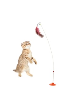 Tineke Yeni Vantuzlu Kedi Oltası 90 CM Tineke Yeni Vantuzlu Kedi Oltası 90 CM