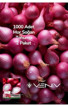 1000 Adet Mor Soğan Tohumu 2 Paket 1000 Adet Mor Soğan Tohumu 2 Paket