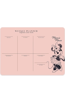 Minnie Mouse 17x24 Haftalık Planner Diğer