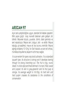 Agrodal Tarım Ata Tohumu Yerli Balkabağı 10 Adet Tohum Sku: Smgstk72919f95b3 Açık Gri