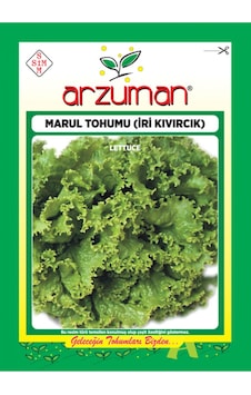 Arzuman İri Kıvırcık Marul Tohumu 10 G Arzuman İri Kıvırcık Marul Tohumu 10 G