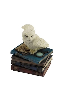 Veronese Serisi-Wise Mücevher Kutusu-BAYKUS KUTU-10*9*12 CM Çok renkli Veronese Serisi-Wise Mücevher Kutusu-BAYKUS KUTU-10*9*12 CM Çok renkli