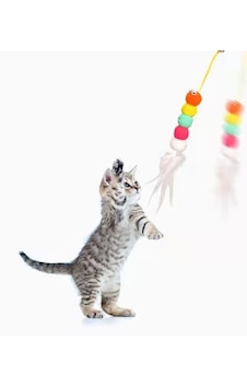 Elastik Kendinden Yapışkanlı Solucan Kedi Oltası 5673 Elastik Kendinden Yapışkanlı Solucan Kedi Oltası 5673