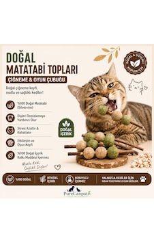 Matatabi Toplu Kedi Oyuncağı Doğal Çiğneme Ve Oyun Çubuğu Matatabi Toplu Kedi Oyuncağı Doğal Çiğneme Ve Oyun Çubuğu