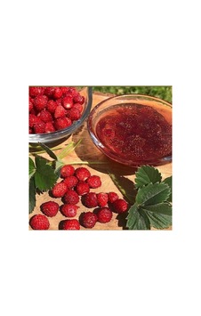 Dağ Çileği Reçeli 390 Gr Dağ Çileği Reçeli 390 Gr