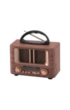 Leader LR-224 Portatif Radyo