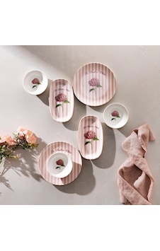 Schafer Rapid 4 Kişilik Kahvaltı Takımı 10 Parça-pembe01 Pembe Schafer Rapid 4 Kişilik Kahvaltı Takımı 10 Parça-pembe01 Pembe