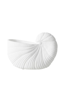 Mudo Home Whıte Shell Vazo 26x13x19 Cm Diğer Mudo Home Whıte Shell Vazo 26x13x19 Cm Diğer