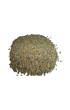Ispanak Tohum Tane 30 Gr