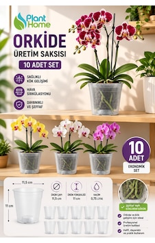 10 Adet Orkide Üretim Saksısı - Plastik Şefaf Orkide Üretimine Uygun Saksı 10 Adet Orkide Üretim Saksısı - Plastik Şefaf Orkide Üretimine Uygun Saksı