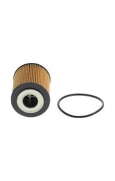 Bosch F026407395 Yağ Filtresi Astra L 21 Corsa F 19 P208 P301 P308 408 P508 P2008 P3008 P5008 Expert Partner Berlingo Ngo Focus 17 Courier 17 Ecosport 17 Puma 20 Kuga 20 Connect 17 C3 C4 Cactus C4 C Elysee Jumpy 1 1624797780 Bosch F026407395 Yağ Filtresi Astra L 21 Corsa F 19 P208 P301 P308 408 P508 P2008 P3008 P5008 Expert Partner Berlingo Ngo Focus 17 Courier 17 Ecosport 17 Puma 20 Kuga 20 Connect 17 C3 C4 Cactus C4 C Elysee Jumpy 1 1624797780