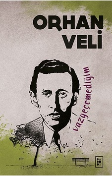Vazgeçemediğim N11.16454