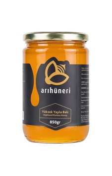 Arı Hüneri Yüksek Yayla Balı 850 G