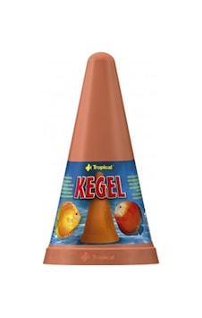 Tropical Kegel Yumurtlama Konisi Tropical Kegel Yumurtlama Konisi