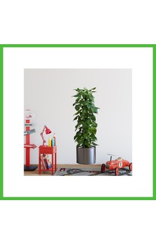 Vaveni Saksılı Bitki Tasarımlı Yapışkanlı Sticker Resim 90 30 Cm Mc-665 Arz Çok Renkli Vaveni Saksılı Bitki Tasarımlı Yapışkanlı Sticker Resim 90 30 Cm Mc-665 Arz Çok Renkli
